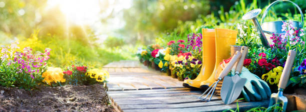 Gardening - Equipment Flowerbed In Sunny Garden Set Of Tools For Gardener And Flowerpots In Garden planting photos stock pictures, royalty-free photos & images