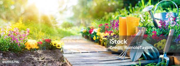 Gardening Equipment Flowerbed In Sunny Garden Stock Photo - Download Image Now - Springtime, Gardening, Backgrounds