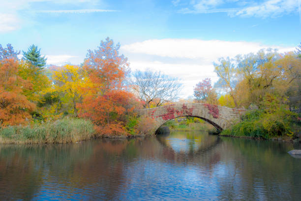 istock Gapstow bridge in Central Park during the fall season 642955094