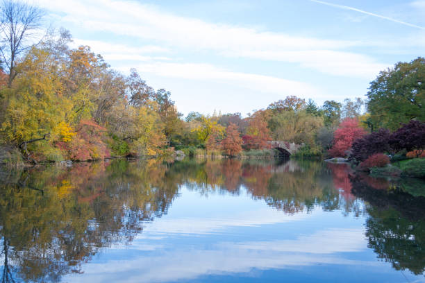 istock Gapstow bridge in Central Park during the fall season 642955470
