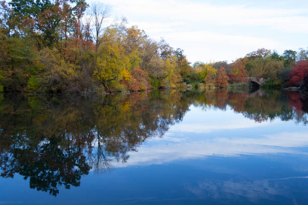 istock Gapstow bridge in Central Park during the fall season 642955606