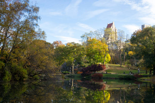 istock Morning in Central Park during the fall season 642957912