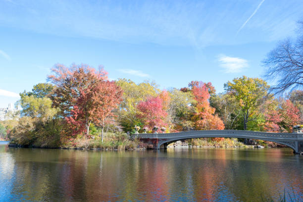 istock Bow bridge in Central Park during the fall season 642958252