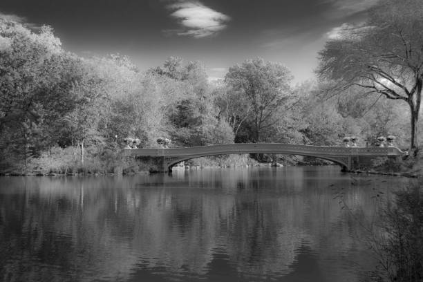 istock Bow bridge in Central Park during the fall season 642958466