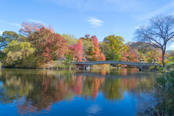 istock Bow bridge in Central Park during the fall season 642958540
