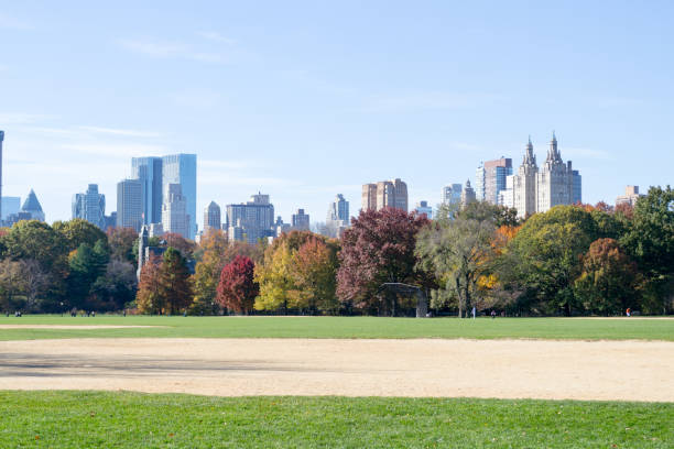 istock Great lawn in Central park during the fall season 642961696