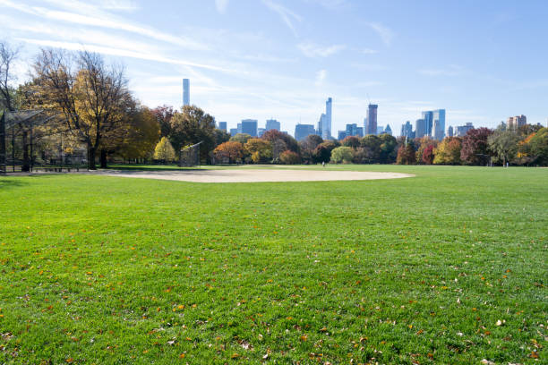 istock Great lawn in Central park during the fall season 642961836