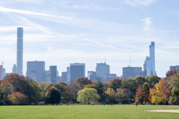 istock Great lawn in Central park during the fall season 642961876