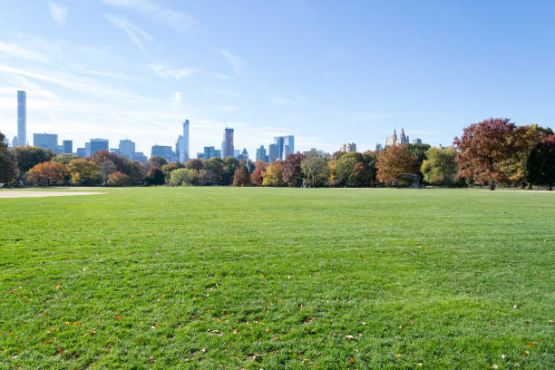 istock Great lawn in Central park during the fall season 642961886