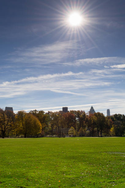 istock Great lawn in Central park during the fall season 642962086
