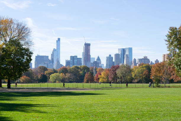 istock Great lawn in Central park during the fall season 642962126