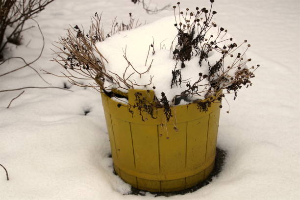 istock Swedish yellow bucket in the snow 642965146