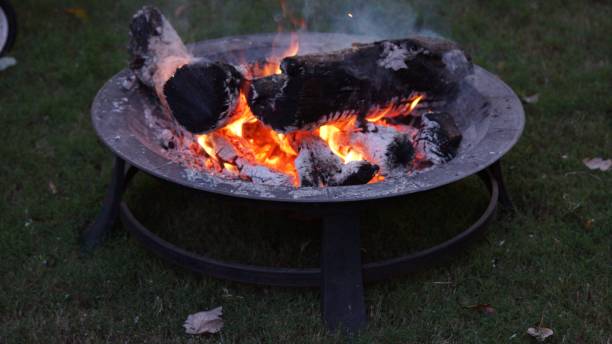 istock Closeup of a campfire at nighttime. 642968422