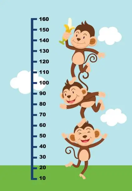 Vector illustration of Meter wall with monkey