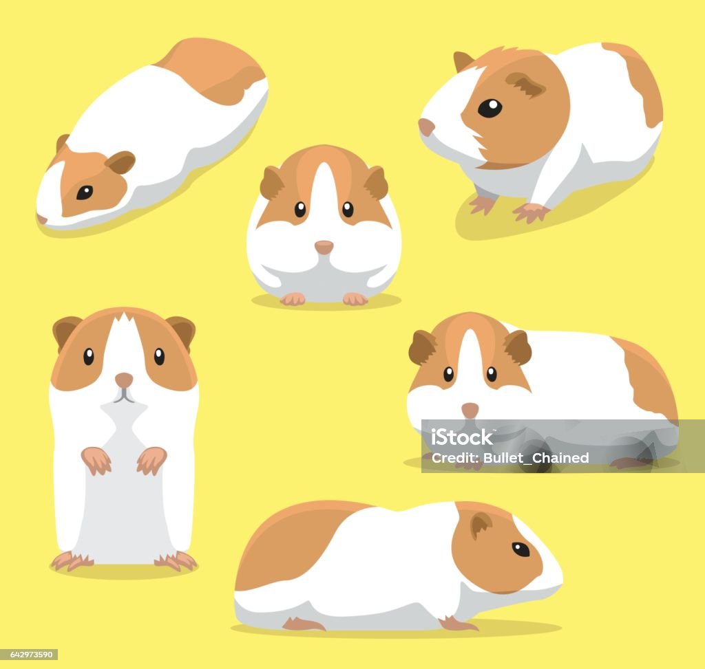 Cute Guinea Pig Poses Cartoon Vector Illustration Animal Character EPS10 File Format Guinea Pig stock vector