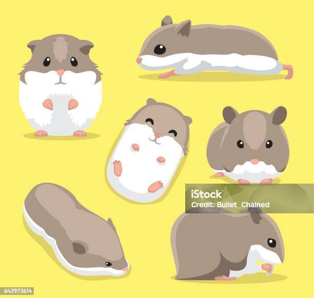 Cute Hamster Poses Cartoon Vector Illustration Stock Illustration - Download Image Now - Hamster, Illustration, Cartoon