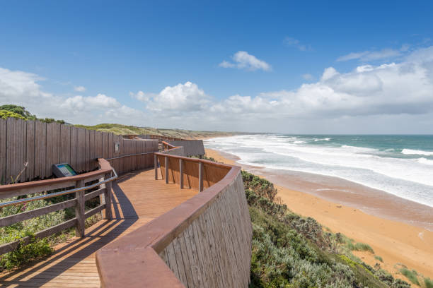 istock Whale viewing platform, at Logans beach, Warrnambool 642977742