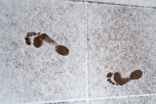 Winter blizzard from a rooftop in Manhattans Upper East Side (NYC, USA)