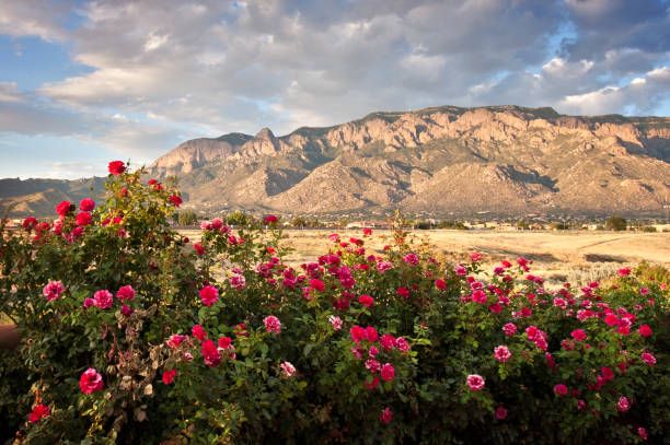 montañas sandia - nuevo méxico fotografías e imágenes de stock