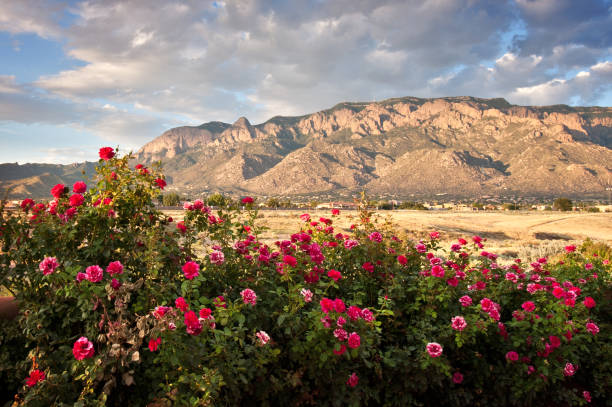 Sandia Mountains Sandia Mountains in New Mexico new mexico stock pictures, royalty-free photos & images