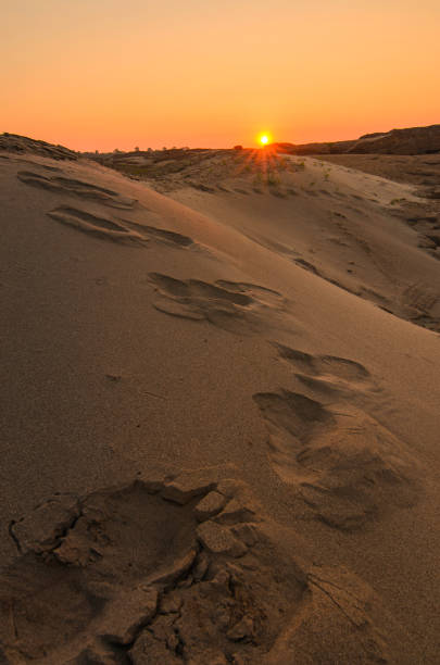 istock Footprint of desert 642984484