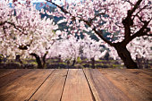 Empty wooden table against defocused almond trees