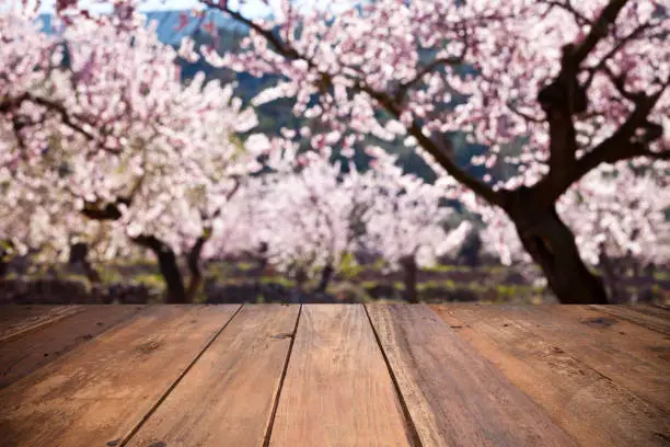 Photo montage of an empty wooden table against defocused almond trees background. Ideal for product display.