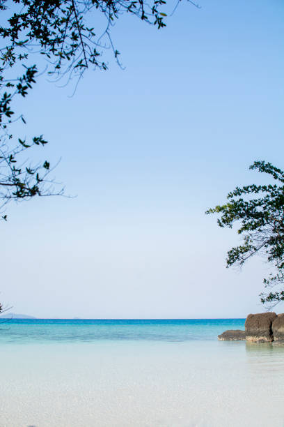 istock Clear sea and beach in summer season 642997630