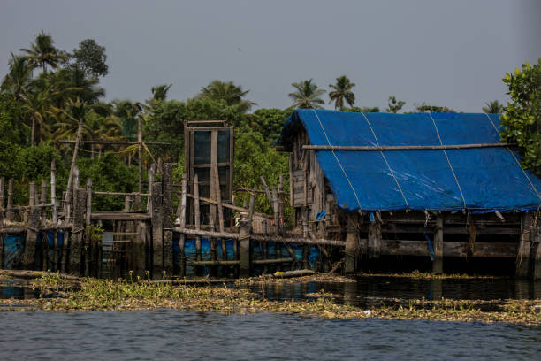 istock Fishing nets of Cochin 642998580