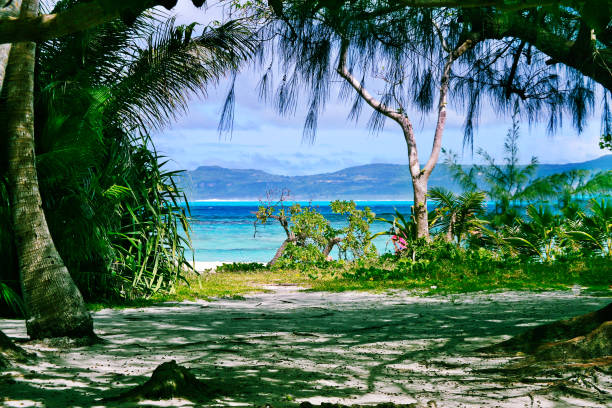 잎이 treeline 및 무성 한 잔디밭에 아름 다운 그린 파크 - saipan 뉴스 사진 이미지