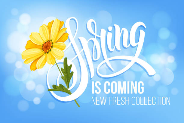 ilustrações, clipart, desenhos animados e ícones de a primavera está chegando - store suit commercial sign marketing
