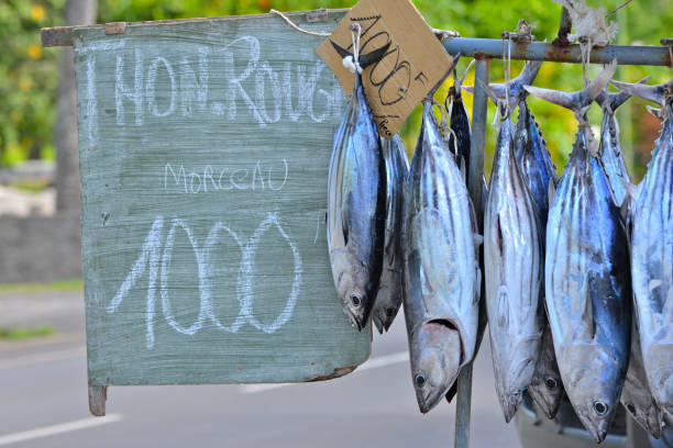 peces que venden en la carretera, puesto - big eye tuna fotografías e imágenes de stock