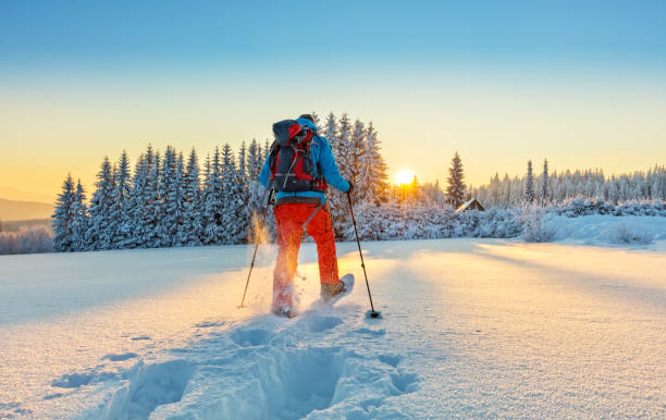 walker de raquetes de neve, correndo na neve em pó - snow hiking - fotografias e filmes do acervo