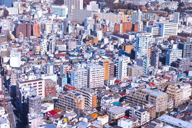 istock Luxury residential area in Tokyo 643028332