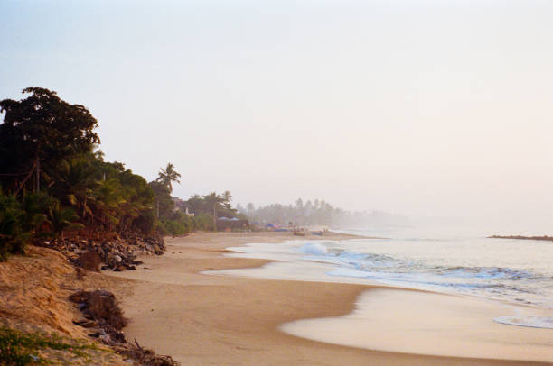 Scenic view of tropical beach in Sri Lanka