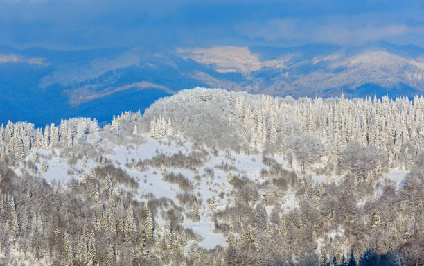 istock Winter Ukrainian Carpathian Mountains landscape. 643032166