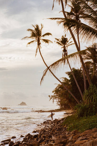 istock Woman on the beach with surfboard in Sri Lanka 643032170