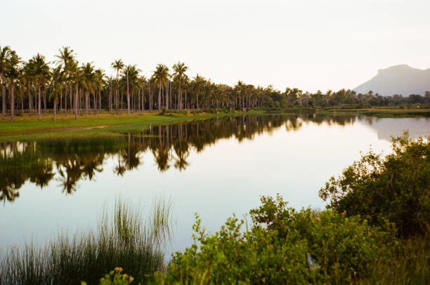 Scenic landscape of tropical river in Thailand