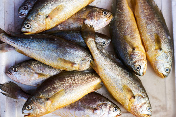 istock Small fish on display at Chinese market 643032856