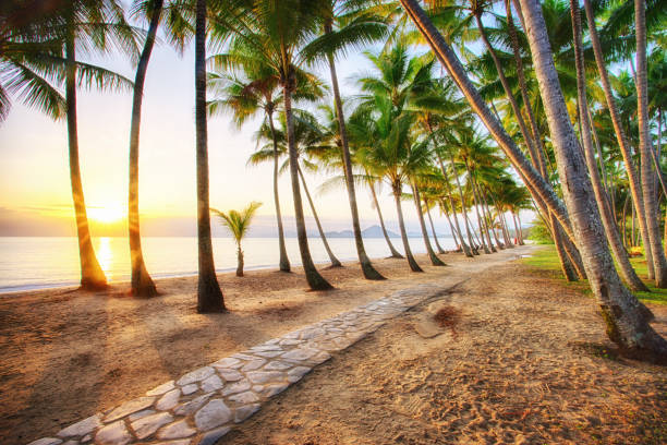 Palm Cove in Carins, Queensland, Australia The tropical Palm Cove, one of Carins' northern beaches in Tropical North Queensland. Palm Cove is a popular tourist destination in Australia port douglas photos stock pictures, royalty-free photos & images