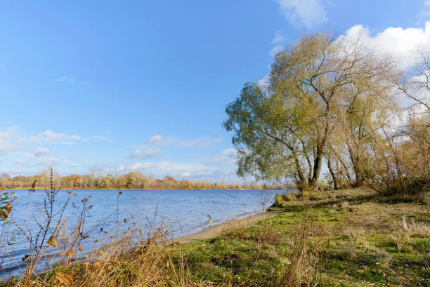 istock Autumn Trees  Close to the Dnieper River 643062912