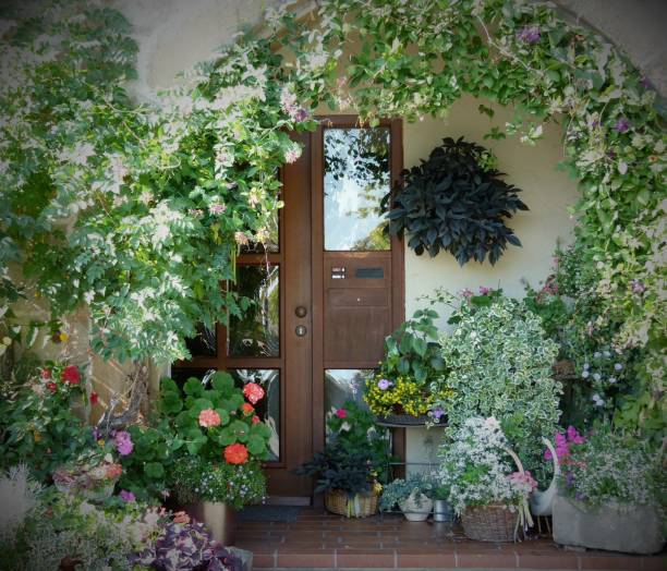 istock Green house entrance 643063382