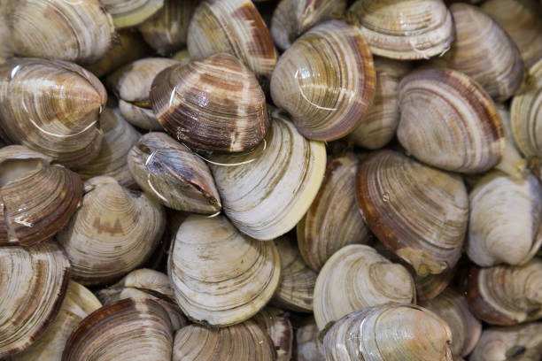 istock Shellfish such as clams are allergic to some people 643063394