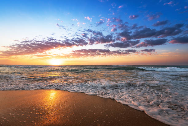 istock Colorful ocean beach sunrise with deep blue sky and sun rays. 643076942