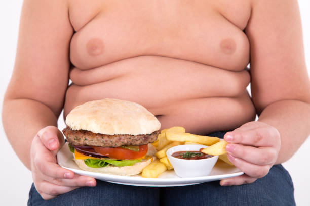 フライドポテト  - overweight child eating hamburger ストックフォトと画像