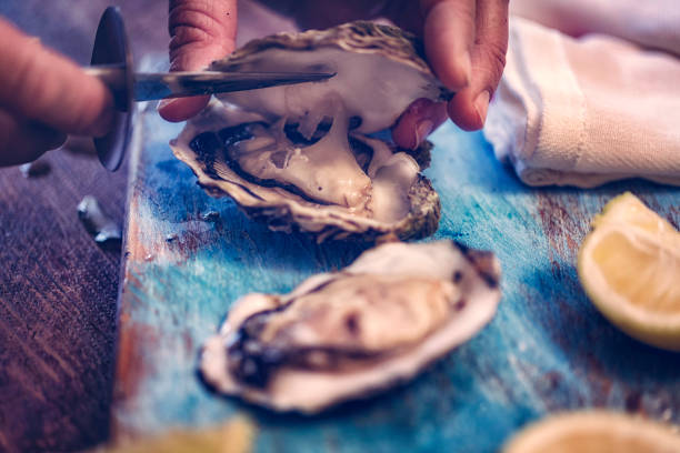 oysters on plate with ice and lemon - lemon food preparation portion imagens e fotografias de stock