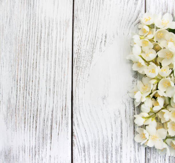 istock Border with jasmine flowers 643116460