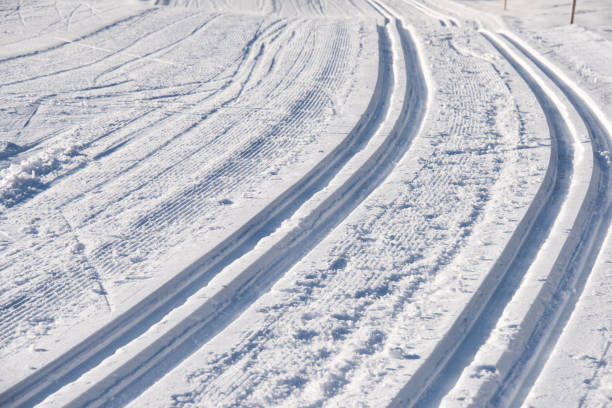 istock focus on cross country trail 643119510