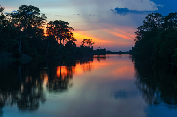 fleuve amazone coucher du soleil - rainforest brazil amazon river amazon rainforest photos et images de collection
