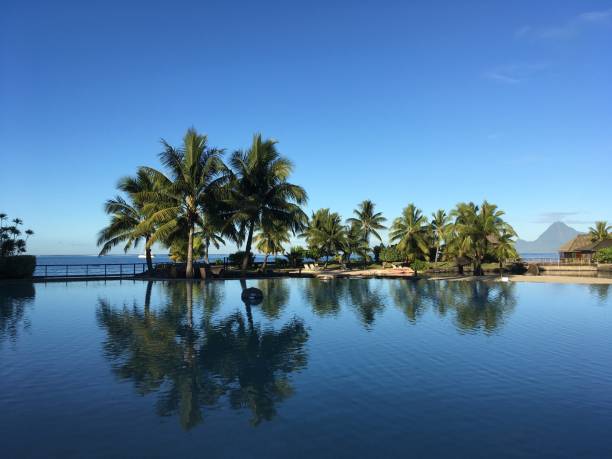 istock Holidays on paradise island 643123710